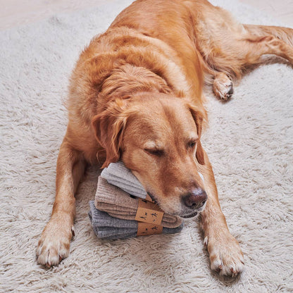 Sweet William Designs Dog Walking Socks - Yellow Labrador
