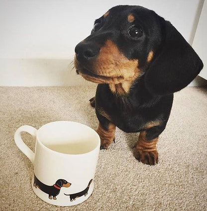 Sweet William Designs Mischievous Mutts Dog Mug - Dachshund / Sausage Dog