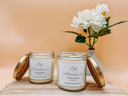 Summer Artisanal Lemongrass Scented Anti-Mosquito Candle