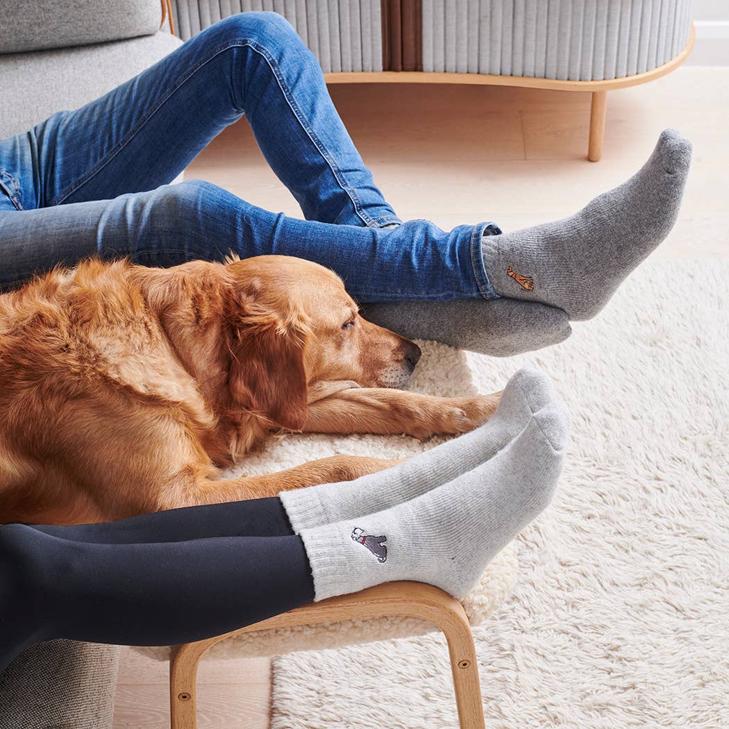 Sweet William Designs Dog Walking Socks - Yellow Labrador