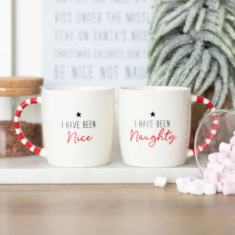 Naughty and Nice Couples Christmas Mug set