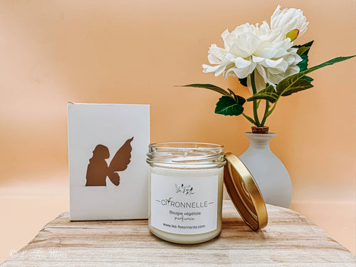 Summer Artisanal Lemongrass Scented Anti-Mosquito Candle